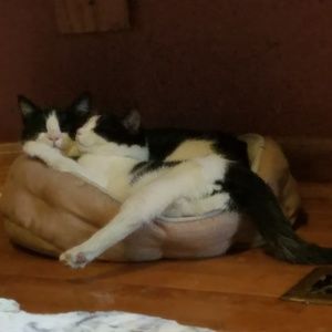 Meet your Posher, Kendall